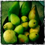 The purchased fruit goods. Awesome.
