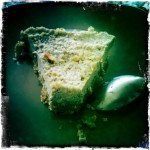 My best culinary achievement to date: Raw Vegan "Cheesecake" (walnut, date + almond base w/ cashew + lemon filling)