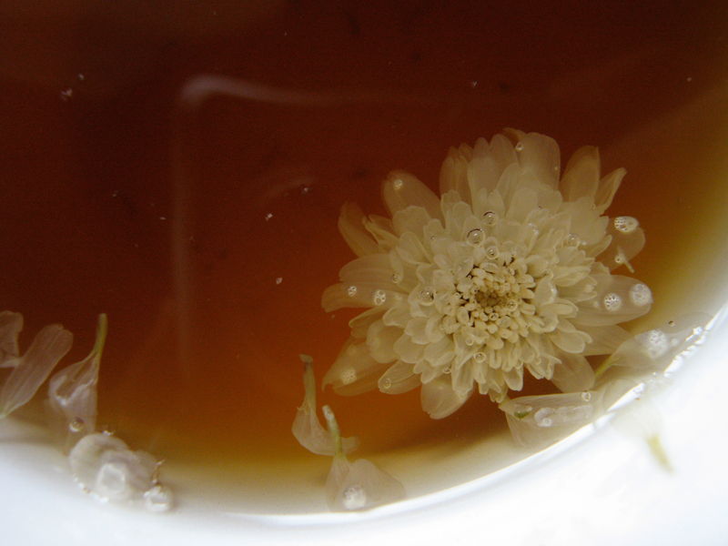 Tea of Chrysanthemum
